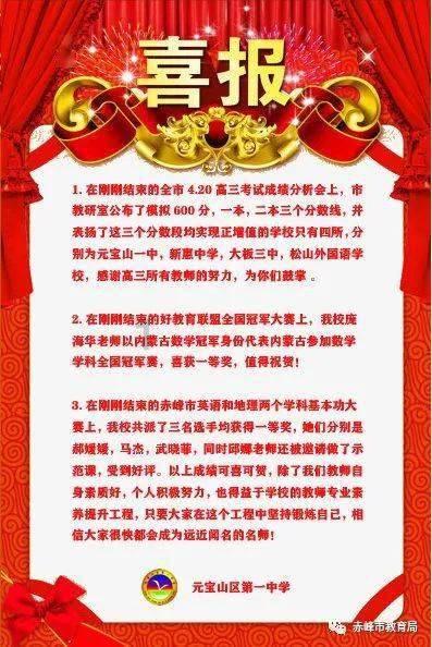 孤独的流浪者救援